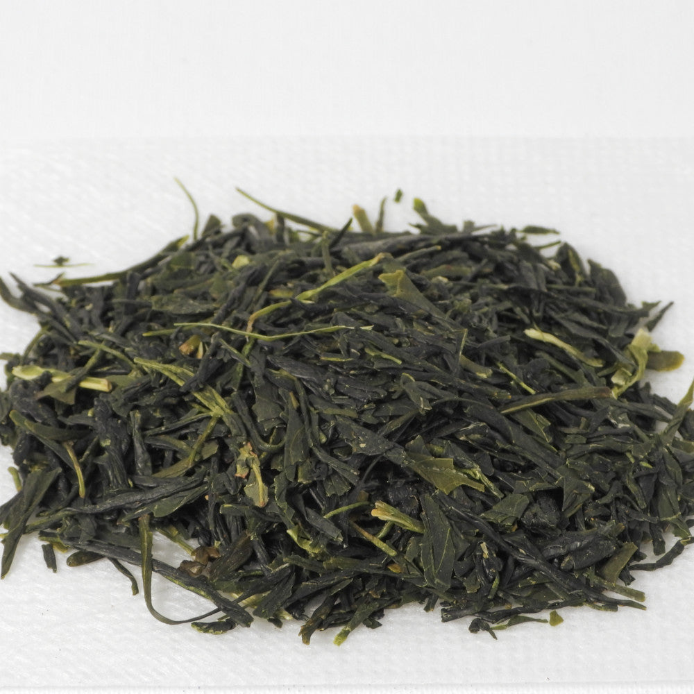 Sencha - Green Tea - Yabukita cultivar – WAZA Japan Store