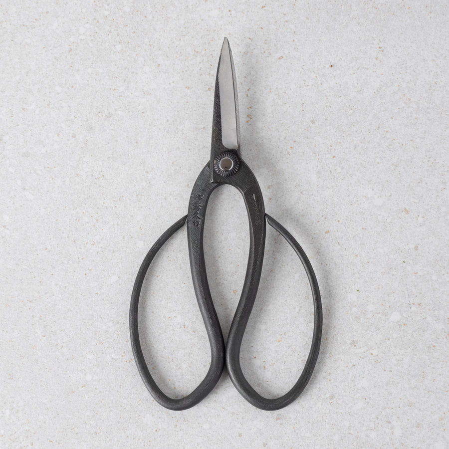 T-4N Bonsai Scissors