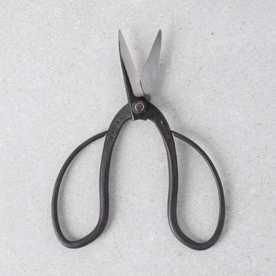 T-4N Bonsai Scissors