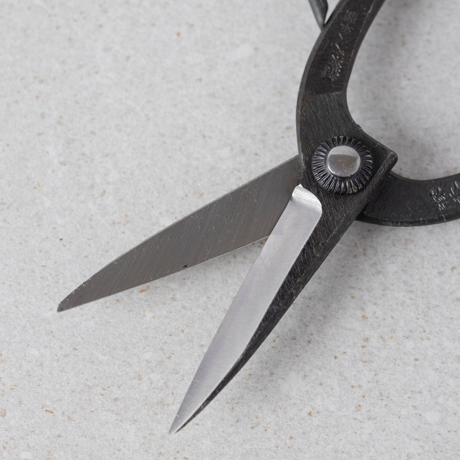 T-4N Bonsai Scissors