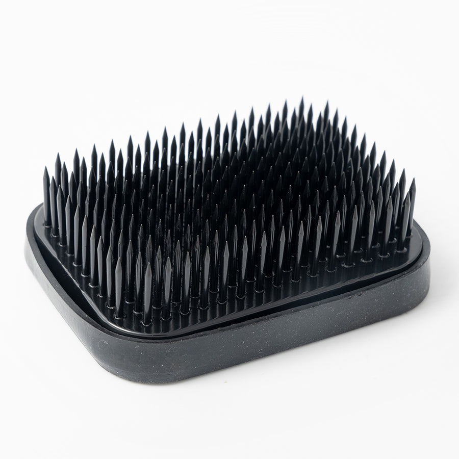 Kenzan (Spiky Frog) - Black Rectangle