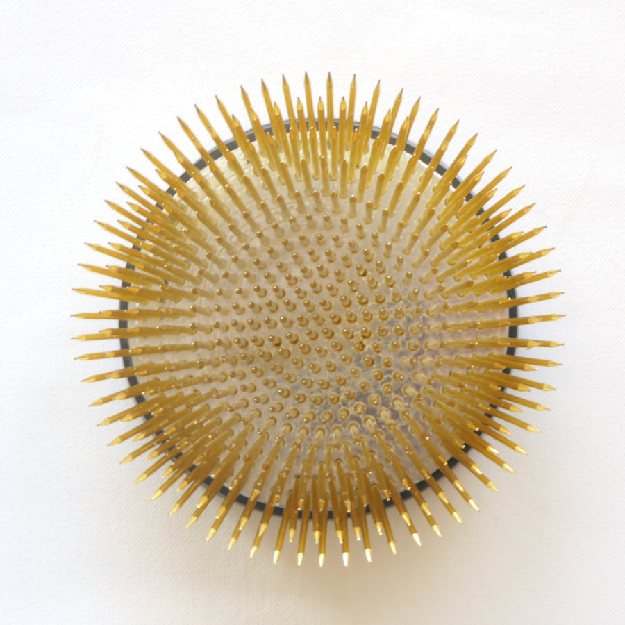 Kenzan (Spiky Frog) - Radial