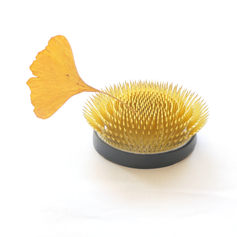 Kenzan (Spiky Frog) - Radial