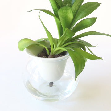 Ceramic Self-Watering Planter