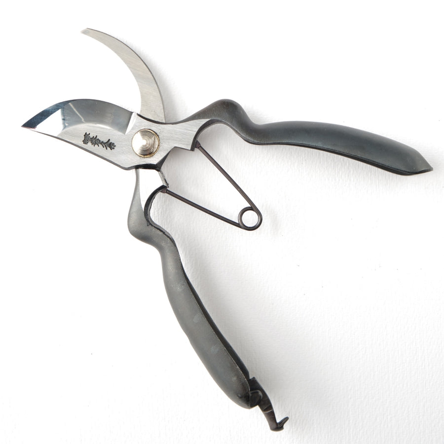 T-21 Secateurs